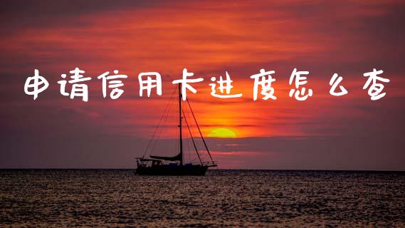 申请信用卡进度怎么查_https://m.fansifence.com_消费金融_第1张