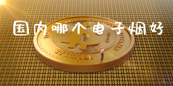 国内哪个电子烟好_https://m.fansifence.com_公募基金_第1张