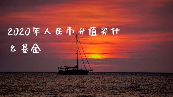 2020年人民币升值买什么基金_https://m.fansifence.com_个股行情_第1张