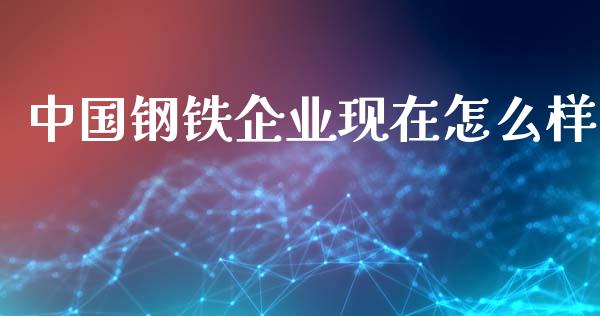 中国钢铁企业现在怎么样_https://m.fansifence.com_个股行情_第1张