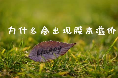 为什么会出现股本溢价_https://m.fansifence.com_消费金融_第1张