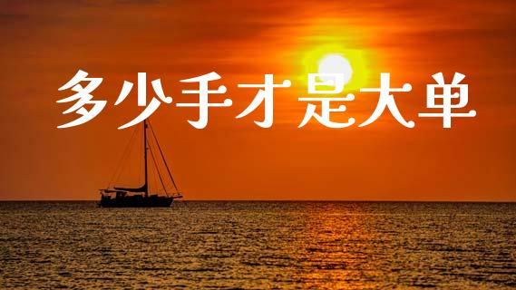 多少手才是大单_https://m.fansifence.com_消费金融_第1张