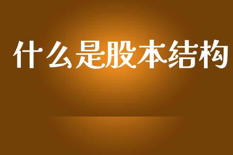 什么是股本结构_https://m.fansifence.com_消费金融_第1张