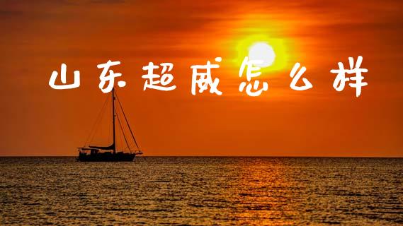 山东超威怎么样_https://m.fansifence.com_贵金属行情_第1张