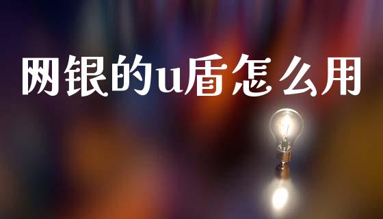 网银的u盾怎么用_https://m.fansifence.com_个股行情_第1张