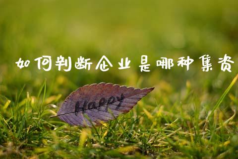 如何判断企业是哪种集资_https://m.fansifence.com_公募基金_第1张