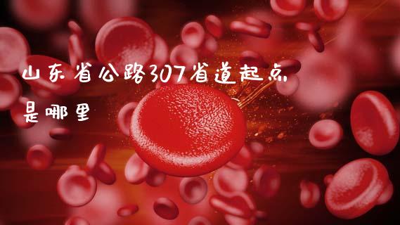 山东省公路307省道起点是哪里_https://m.fansifence.com_贵金属行情_第1张