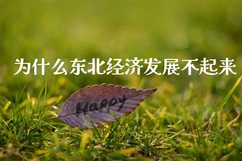 为什么东北经济发展不起来_https://m.fansifence.com_消费金融_第1张