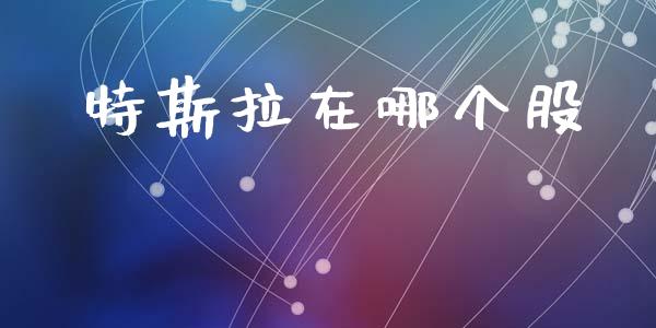 特斯拉在哪个股_https://m.fansifence.com_公募基金_第1张