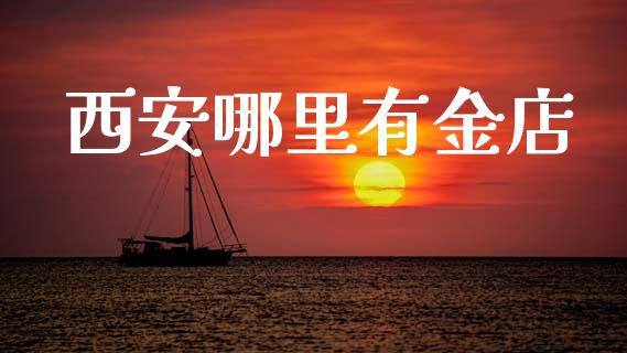 西安哪里有金店_https://m.fansifence.com_贵金属行情_第1张