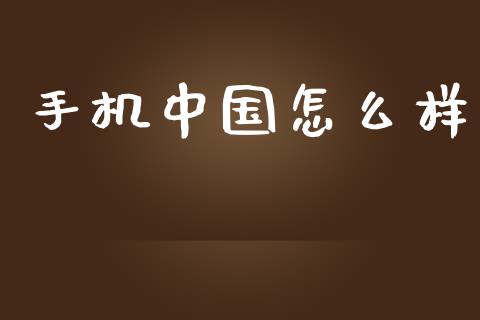 手机中国怎么样_https://m.fansifence.com_消费金融_第1张