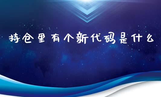 持仓里有个新代码是什么_https://m.fansifence.com_贵金属行情_第1张