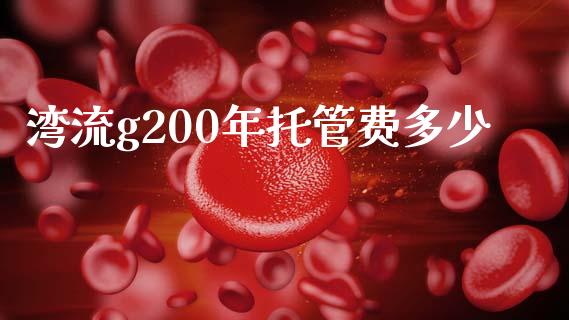 湾流g200年托管费多少_https://m.fansifence.com_公募基金_第1张