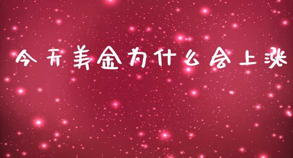 今天美金为什么会上涨_https://m.fansifence.com_消费金融_第1张