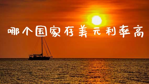 哪个国家存美元利率高_https://m.fansifence.com_公募基金_第1张