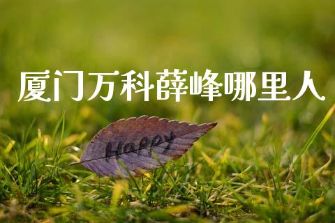 厦门万科薛峰哪里人_https://m.fansifence.com_公募基金_第1张
