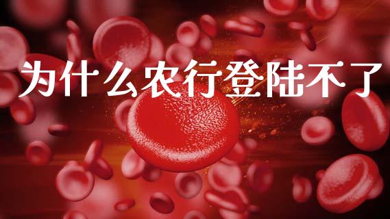 为什么农行登陆不了_https://m.fansifence.com_个股行情_第1张
