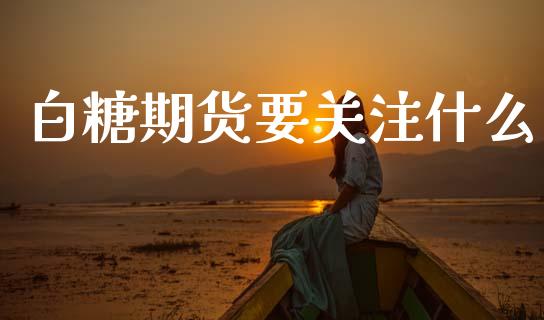 白糖期货要关注什么_https://m.fansifence.com_公募基金_第1张