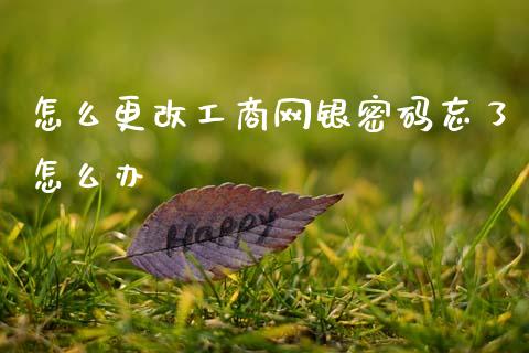怎么更改工商网银密码忘了怎么办_https://m.fansifence.com_公募基金_第1张