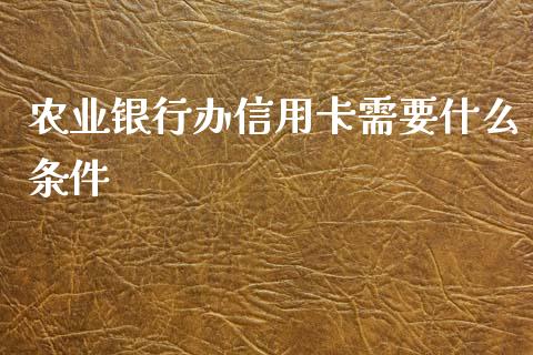 农业银行办信用卡需要什么条件_https://m.fansifence.com_消费金融_第1张