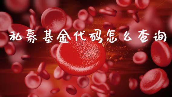 私募基金代码怎么查询_https://m.fansifence.com_公募基金_第1张
