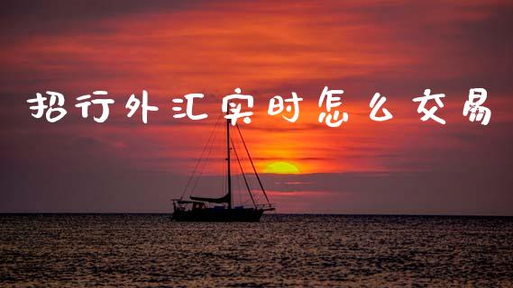 招行外汇实时怎么交易_https://m.fansifence.com_公募基金_第1张