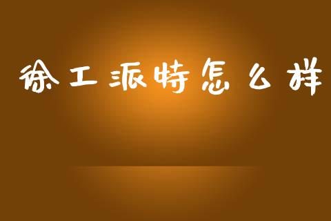 徐工派特怎么样_https://m.fansifence.com_贵金属行情_第1张