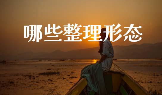 哪些整理形态_https://m.fansifence.com_公募基金_第1张
