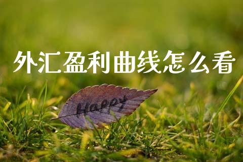 外汇盈利曲线怎么看_https://m.fansifence.com_贵金属行情_第1张