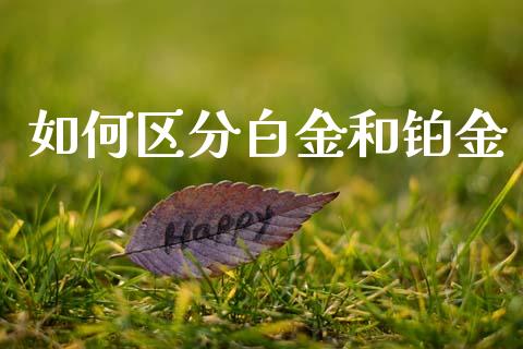如何区分白金和铂金_https://m.fansifence.com_贵金属行情_第1张