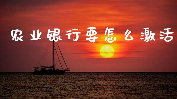 农业银行要怎么激活_https://m.fansifence.com_消费金融_第1张