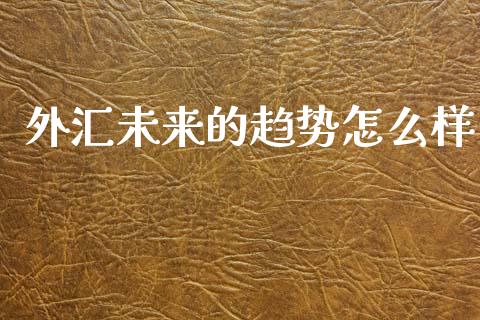 外汇未来的趋势怎么样_https://m.fansifence.com_个股行情_第1张