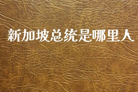 新加坡总统是哪里人_https://m.fansifence.com_消费金融_第1张