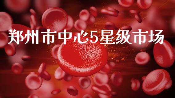 郑州市中心5星级市场_https://m.fansifence.com_贵金属行情_第1张