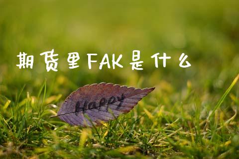 期货里FAK是什么_https://m.fansifence.com_贵金属行情_第1张