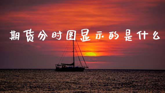 期货分时图显示的是什么_https://m.fansifence.com_消费金融_第1张