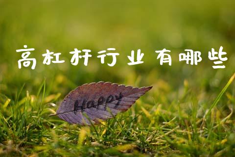 高杠杆行业有哪些_https://m.fansifence.com_贵金属行情_第1张