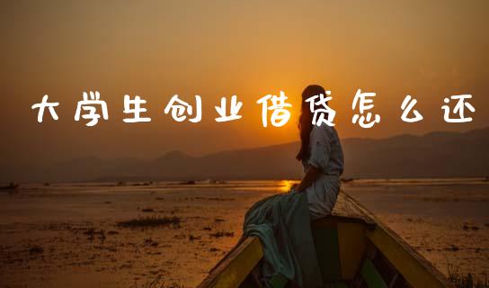大学生创业借贷怎么还_https://m.fansifence.com_消费金融_第1张