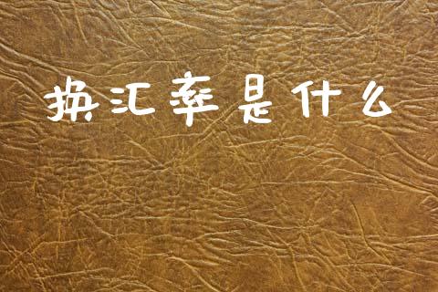 换汇率是什么_https://m.fansifence.com_个股行情_第1张