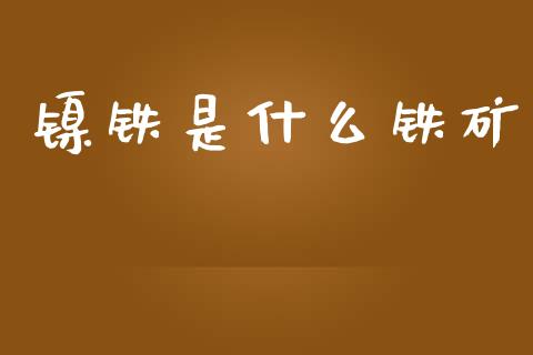 镍铁是什么铁矿_https://m.fansifence.com_消费金融_第1张