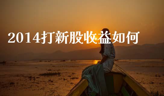 2014打新股收益如何_https://m.fansifence.com_贵金属行情_第1张
