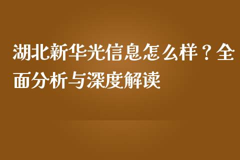 湖北新华光信息怎么样？全面分析与深度解读_https://m.fansifence.com_消费金融_第1张