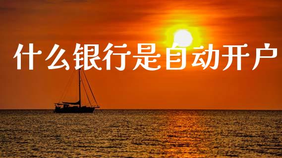 什么银行是自动开户_https://m.fansifence.com_消费金融_第1张