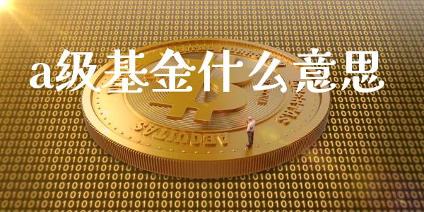 a级基金什么意思_https://m.fansifence.com_公募基金_第1张
