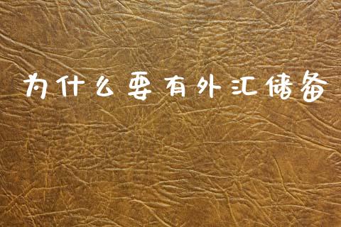 为什么要有外汇储备_https://m.fansifence.com_贵金属行情_第1张