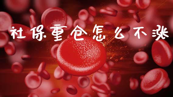 社保重仓怎么不涨_https://m.fansifence.com_公募基金_第1张