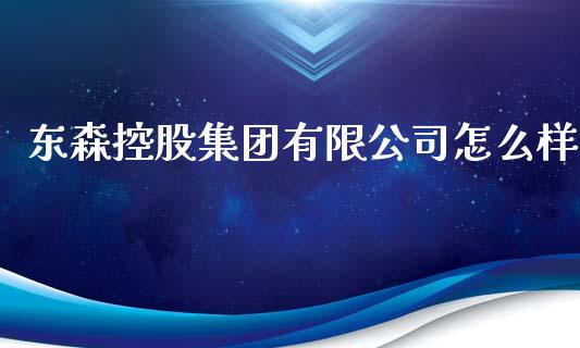 东森控股集团有限公司怎么样_https://m.fansifence.com_消费金融_第1张