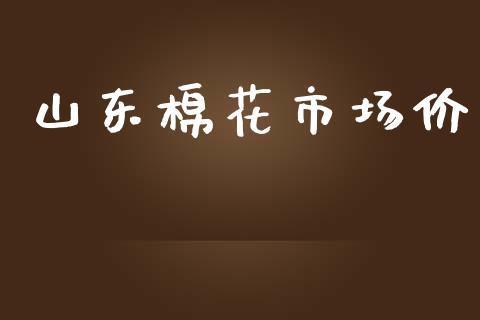 山东棉花市场价_https://m.fansifence.com_消费金融_第1张