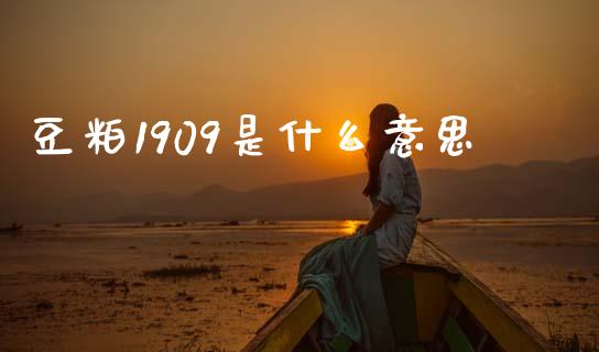 豆粕1909是什么意思_https://m.fansifence.com_个股行情_第1张