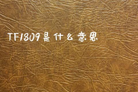 TF1809是什么意思_https://m.fansifence.com_公募基金_第1张